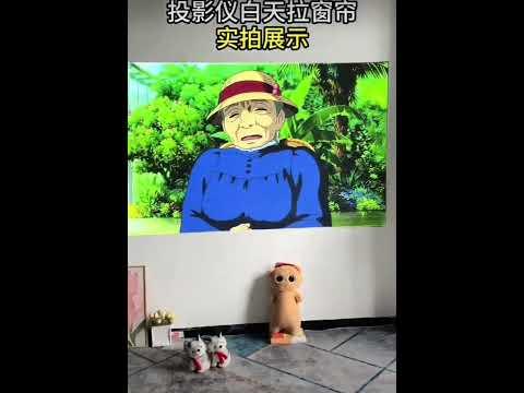 TV Professional presentations & razor-sharp images