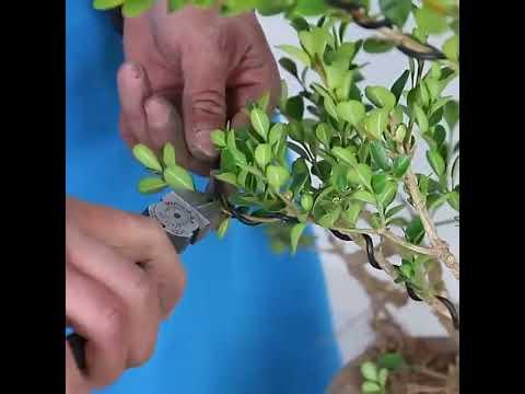 Black Anodized Aluminum Bonsai Training Wire Set